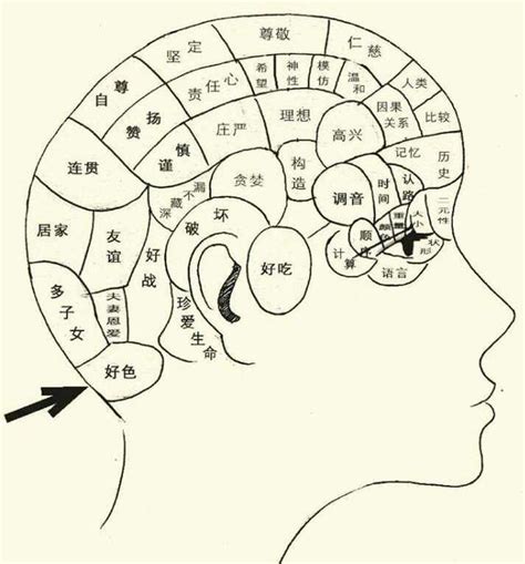 頭形 相學|【頭形 相學】揭開頭形相學的奧秘！不只面相，頭型。